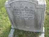 image of grave number 50700